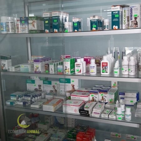 farmacia